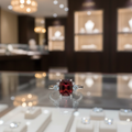 Garnet & Zircon Silver Ring